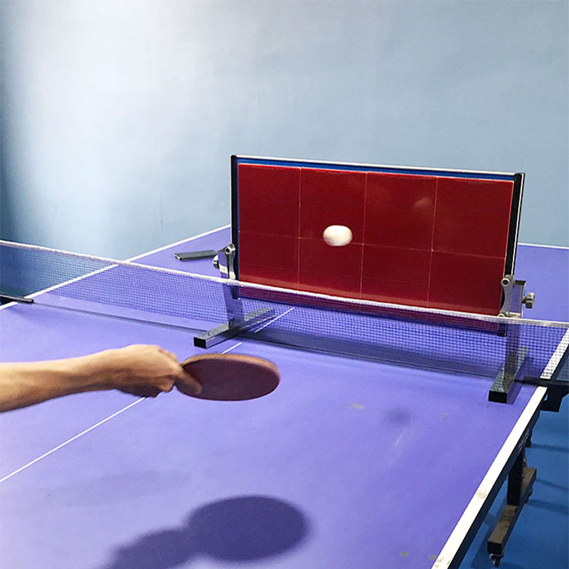 Home Table Tennis Rebound Boar - Badminton Smash recension och pris